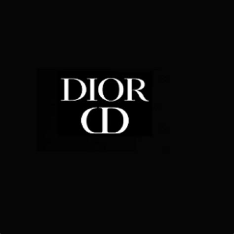 sal dior|dior outlet online.